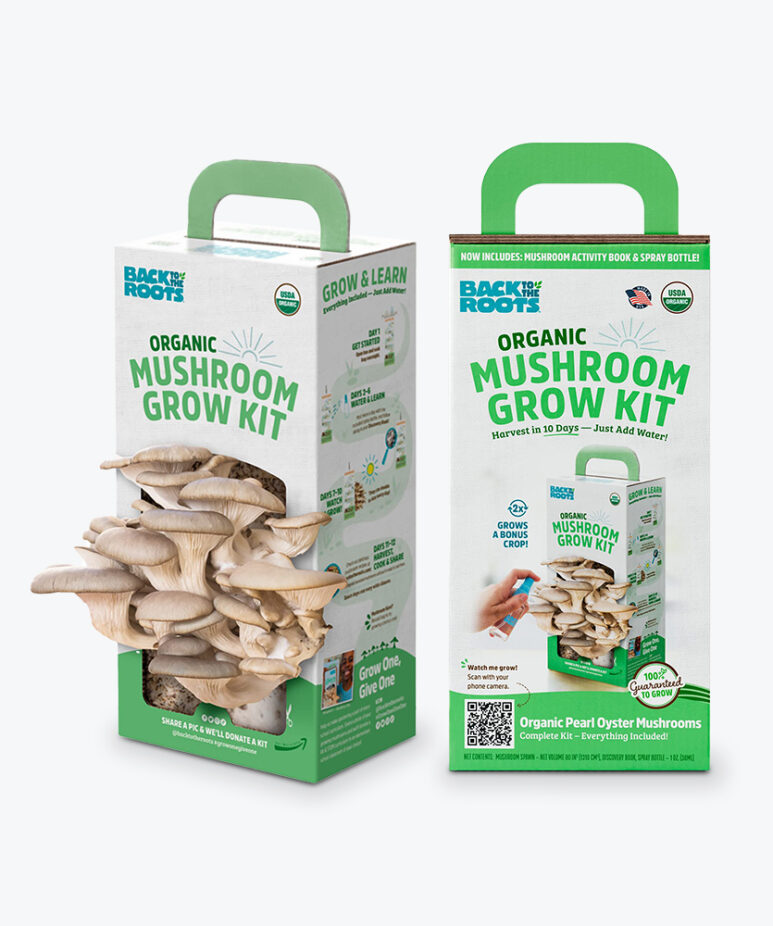 Mushroom Kit Box