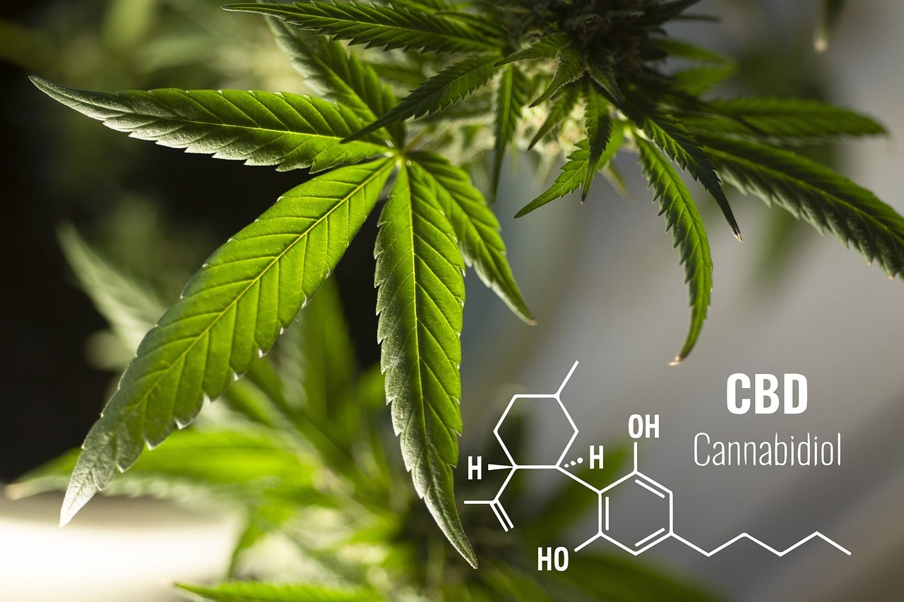 what is CBD cannabidiol definition